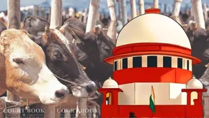 Supreme Court Stays Madras High Court's Blanket Ban on Cow Slaughter in Tamil Nadu